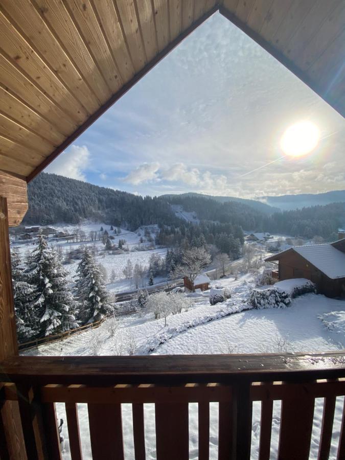 Chalet De La Grimpette Au Coeur De Gerardmer Gérardmer Exterior foto