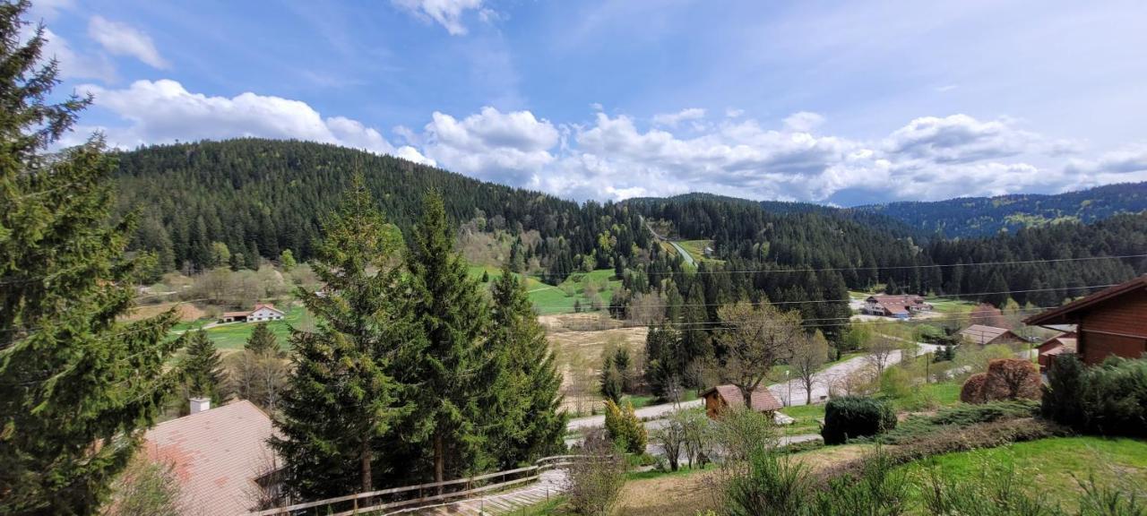 Chalet De La Grimpette Au Coeur De Gerardmer Gérardmer Exterior foto